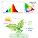 Светодиодная лампа полного спектра мощностью 100 Вт для выращивания растений