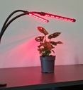 2 x лампа для выращивания растений, 40 светодиодных панелей, таймер + водонепроницаемый пульт дистанционного управления