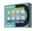 Набор из 12 препаратов Discovery Flora.