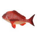 Živý odolný chňapal Sea Life Animal Red Pohlavie unisex