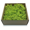 500 г оленьего мха весеннего