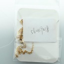 Diamante náhrdelník so stereoskopickou kreslenou zlatou Značka suntekonline