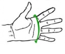 ТРЕНИРОВОЧНЫЕ БОКСЕРСКИЕ ПЕРЧАТКИ CHAMPION RING, 10 УНЦИЙ