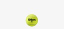 Теннисные мячи Wilson Roland Garros Clay CT (4 шт)