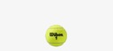 Tenisové loptičky Wilson Roland Garros Clay CT (4 ks) Počet kusov v balení 4 ks