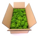 Финский мох 500г.