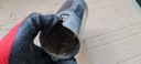 A4 B9 8W EMBOUT ÉCHAPPEMENT SILENCIEUX 2.0 TDI 8W0253825C A5 8Wphoto 9
