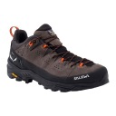 Чоловічі трекінгові кросівки SALEWA Alp Trainer 2 GTX коричневі uk_7_40.5