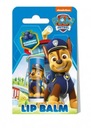 Бальзам для губ PAW Patrol Черника, 4,4 г