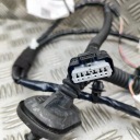 КОМПЛЕКТ ПРОВОДІВ ЗАДНІХ ЛІВИХ ДВЕРІ NISSAN ARIYA (FE0) 241275BV2A 35952094 160KW  (18634728229) фото min 8