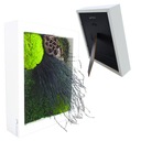 МОХОВАЯ КАРТИНА мох хроботек плоский мох северный олень в деревянной рамке 23х28