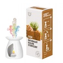 CEDR - OLEJEK ETERYCZNY 10 ml Naturalne Aromaty