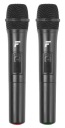 Активная портативная колонка Fenton FT215LED USB/BT