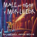 Mali ac ogof y mor -leidr - Malachy Doyle (книга)