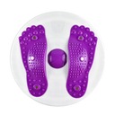 Twisting Waist Disc Body Shaping Aerobic Exercise