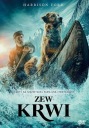 ЗОВ КРОВИ - DVD Lektor PL H. Ford НОВЫЙ 2021 ФОЛЬГА