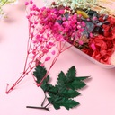 SUSZONE KWIATY do wazonu susz florystyczny bukiet | PRÍRODNÉ | 2 pudličky Kód výrobcu Emulitivt