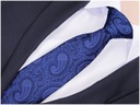 Мужской галстук из микрофибры из жаккарда с рисунком пейсли GREG G101