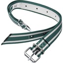 Ошейник 130х4см с D-link Standard