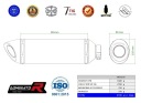 YZF R6 2006 - 2016 СИСТЕМА ВИПУСКНИЙ ГЛУШНИК HP8 DOMINATOR  фото 9