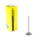 ZAWÓR WYDECHOWY YAMAHA YFM 350 WARRIOR / RAPTOR