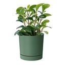 Цветочный горшок с отверстиями, основание DPOP300, зеленый