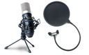 MARANTZ PROFESSIONAL MPM1000 - Конденсаторный микрофон