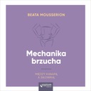 Брюшная механика