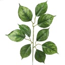 LINKE LEAF Веточка ИСКУССТВЕННЫЕ ЛИСТЬЯ ДЛЯ БУКЕТОВ СТРАННЫЕ Зеленые
