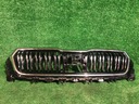 Гриль Dumy Skoda Kodiaq Lift