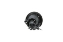 RIDEX 854S0737 AMORTISSEUR GAZEUX ENTRETOISE SUSPENSIONS AVANT LEWOphoto 11