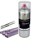 Лак-спрей для алюминия RAL 4001 Полуматовый