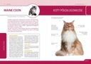 НАБОР КНИГ О КОШКАХ ЧТО ТАКОЕ КОШКА + ТОЧНОСТЬ КОШЕК ПОРОДЫ УХОД УХОД