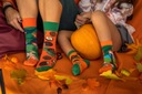 Farebné ponožky SPOXSOX Veveričky Kids 27-30 Značka Spox Sox
