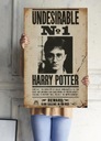 Harry Potter Poszukiwany - plakat 61x91,5 cm Szerokość produktu 61 cm