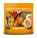 BURAK PASTEWNY ŻÓŁTY URSUS POLY NASIONA 1 KG