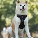 Silné pelechy GUARD pre psa ALASKA reflex black S Ďalšie vlastnosti beztlakové reflexné prvky vodeodolný