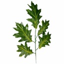 ДУБОВАЯ ВЕТКА ДУБОВЫЕ ЛИСТЬЯ ИСКУССТВЕННЫЕ веточки для декора
