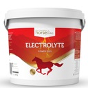 Электролит HorseLinePRO Power Plus 3000 г ENERGY