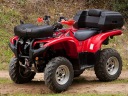 STURDY CASE TRUNK BACK PERID SHAD ATV 40 QUAD  photo 5