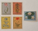 Flora - Kwiaty - Holandia
