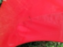 AILE SEAT TOLEDO IV (NH) LF3Kphoto 13