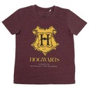 Tričko Harry Potter Rokfortské šortky Detská súprava HP 128 Stav balenia originálne