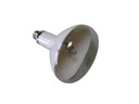 Ртутная лампа для растений PHILIPS MLR160W