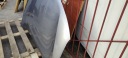 КАПОТ КРИШКА ДВИГУНА СТАЛЬНИЙ TOYOTA RAV4 XA40 1.13-12.18 ВЕРСІЯ EU LAK 1D6  (18875950101) фото min 6