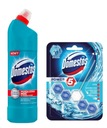 DOMESTOS ATLANTIC ГЕЛЬ ДЛЯ УНИТАЗА 1000мл + КУЛОН P5