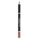 ПЕРМАНЕНТНЫЙ КАРАНДАШ ДЛЯ ГУБ GOLDEN ROSE LIPLINER 223