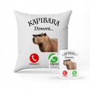 НАБОР КРУЖКА + ПОДУШКА КАПИБАРА в подарок + ИМЯ