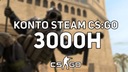 АККАУНТ STEAM С CS:GO 3000 часов CSGO FACEIT HOURS