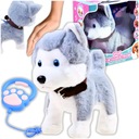 ИНТЕРАКТИВНАЯ ИГРУШКА ДЛЯ СОБАКИ НА ПОВОДКЕ ХАСКИТ-ТАСЛИНСОК ДЛЯ ВЫПЕЧКИ ПОДАРОЧНАЯ СОБАКА